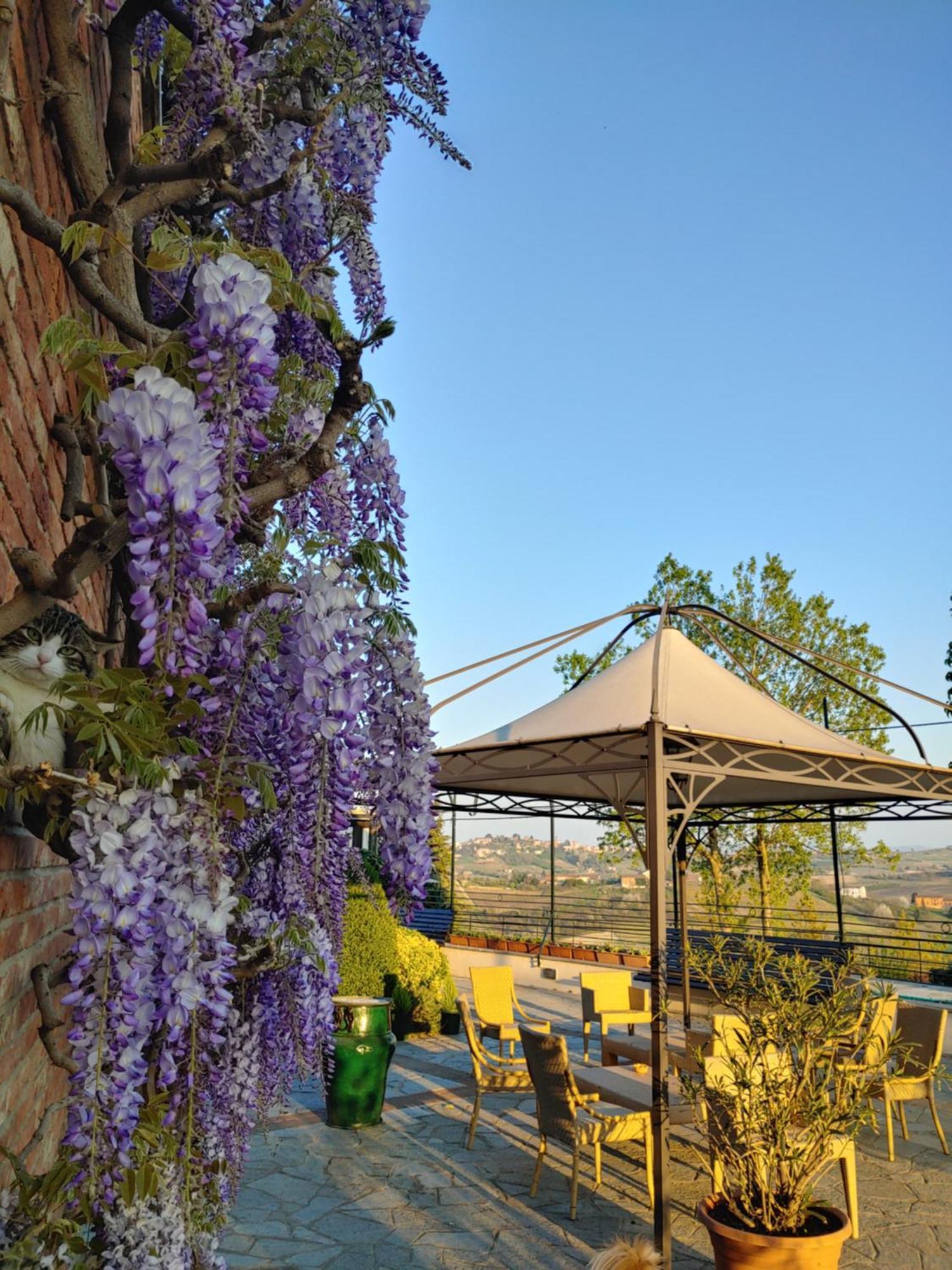 Locanda Del Boscogrande Montegrosso dʼAsti Kamer foto